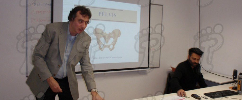 Blog de podología