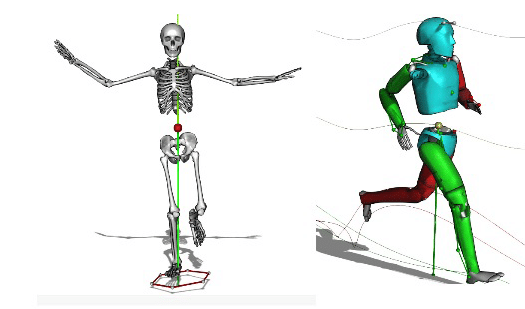 Анализ с использованием системы VICON: новейшая система биомеханического анализа в 3D, новый сервис Каталонского Института Стопы