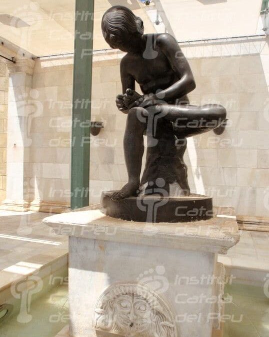 Информация, касающаяся семинаров, проводимых Каталонским Институтом Стопы